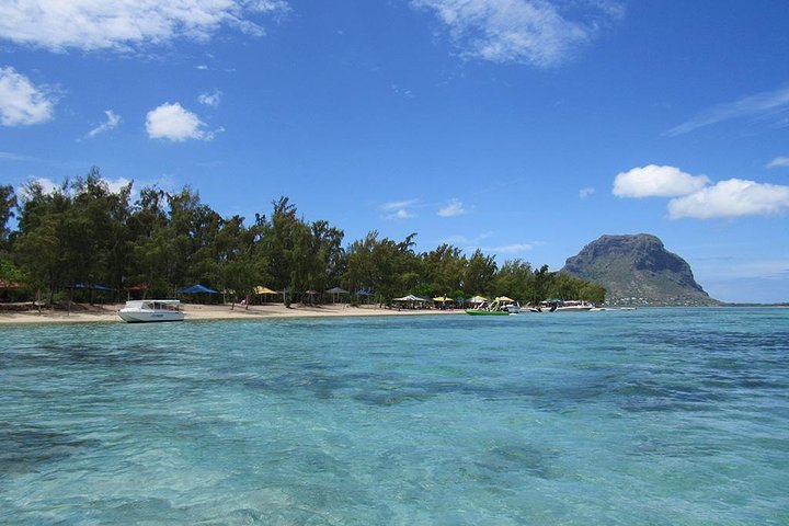 Catamaran Cruise to Ile Aux Bénitiers: Dolphin watch, Crystal Rock & Transfer
