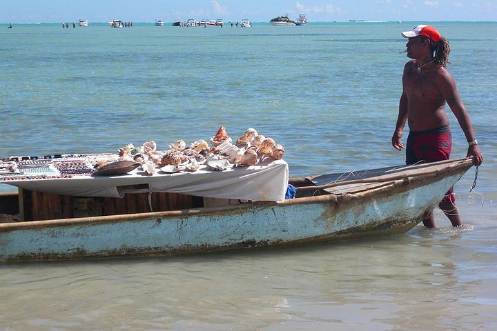 Catamaran Cruise to Ile Aux Bénitiers: Dolphin watch, Crystal Rock & Transfer