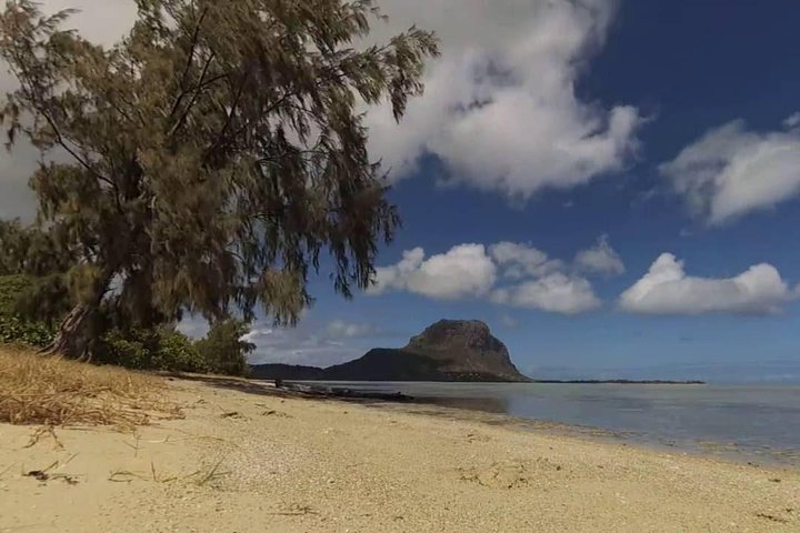 Catamaran Cruise to Ile Aux Bénitiers: Dolphin watch, Crystal Rock & Transfer
