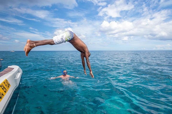 Catamaran Cruise to Ile Aux Bénitiers: Dolphin watch, Crystal Rock & Transfer