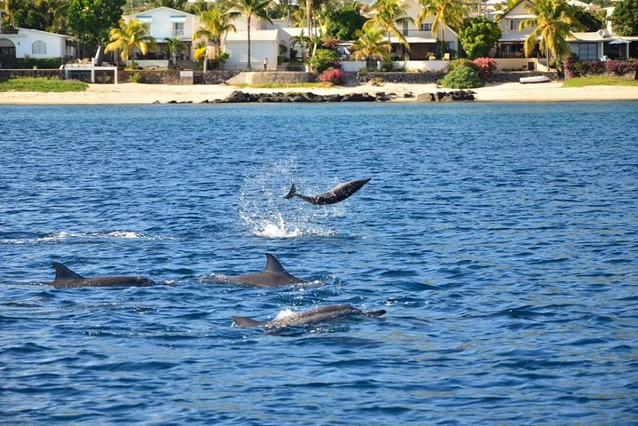 Catamaran Cruise to Ile Aux Bénitiers: Dolphin watch, Crystal Rock & Transfer