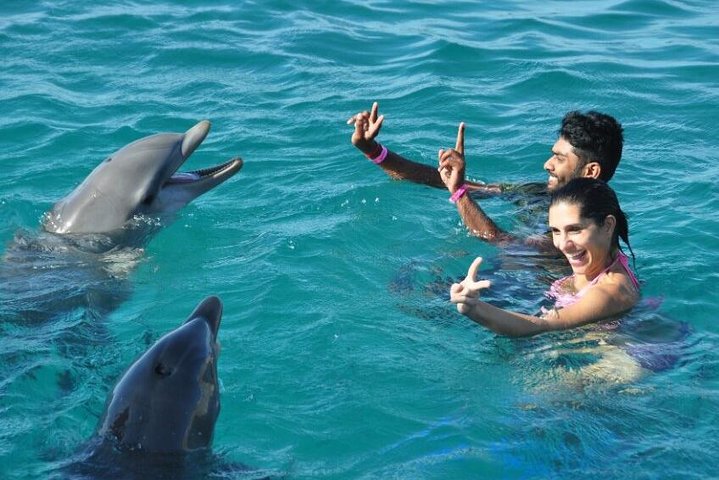 Catamaran Cruise to Ile Aux Bénitiers: Dolphin watch, Crystal Rock & Transfer