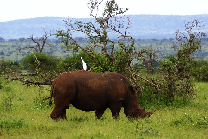 Kruger Park 2-day Safari from Maputo (Open-backed Safari Vehicle)
