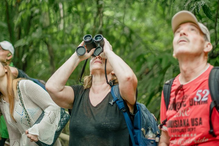 Manuel Antonio Park Nature Guided Tour with a Nature Specialist