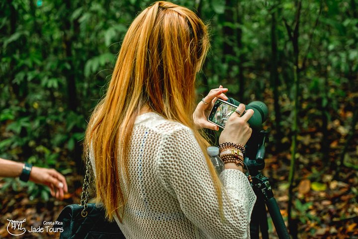 Manuel Antonio Park Nature Guided Tour with a Nature Specialist