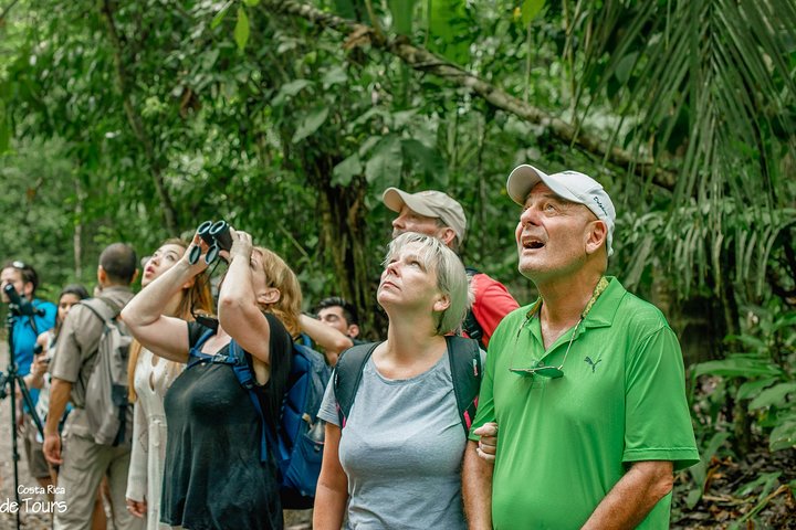 Manuel Antonio Park Nature Guided Tour with a Nature Specialist