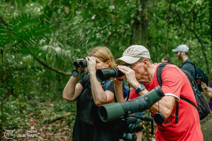 Manuel Antonio Park Nature Guided Tour with a Nature Specialist