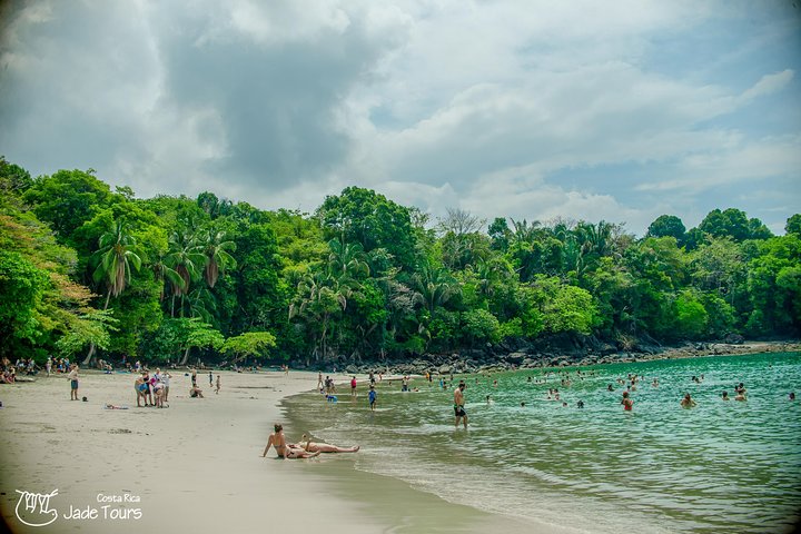 Manuel Antonio Park Nature Guided Tour with a Nature Specialist