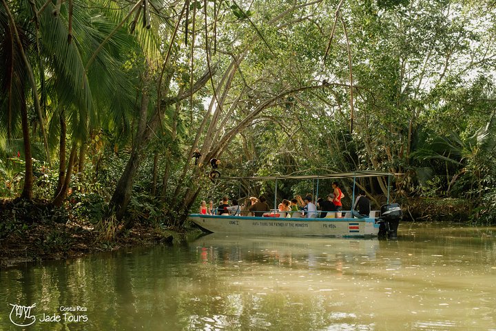 Mangrove Boat Tour Damas Island, Manuel Antonio