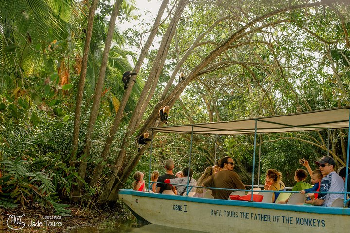 Mangrove Boat Tour Damas Island, Manuel Antonio