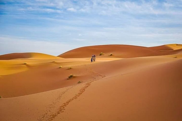 1 Night All inclusive Camel Ride & Desert Camp