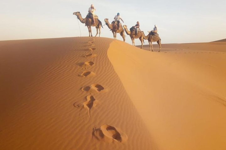 1 Night All inclusive Camel Ride & Desert Camp