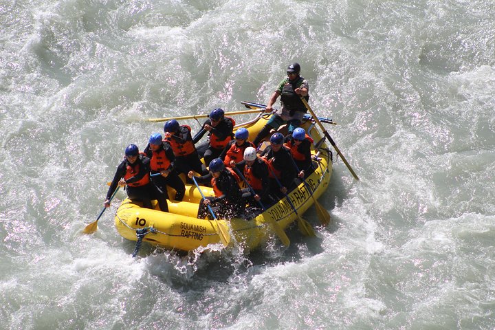 Elaho Whitewater Experience