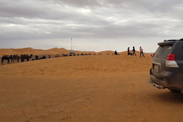 1 Night All inclusive Camel Ride & Desert Camp