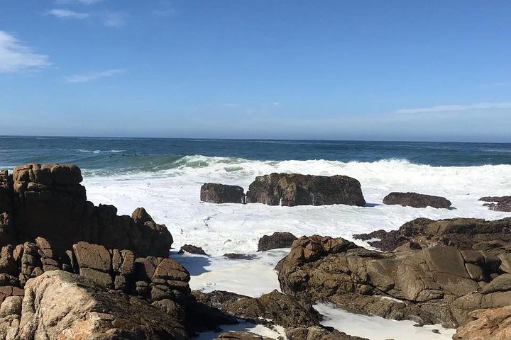 Mosselbay Day tour