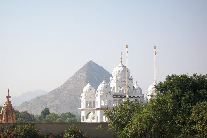 Pushkar Walk: Sacred Soul Journey - Temples|Holy Ceremony|Priest