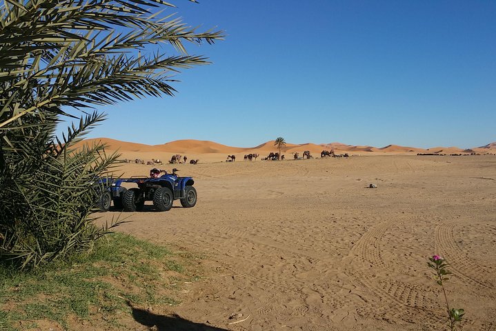 Quad Biking in Merzouga Dunes Desert Erg Chebbi