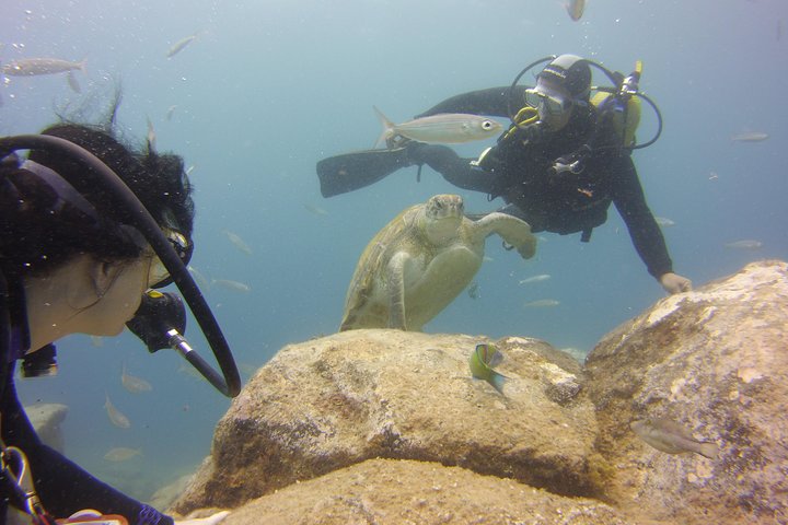 Scuba Diving Beginner's Session in Costa Adeje