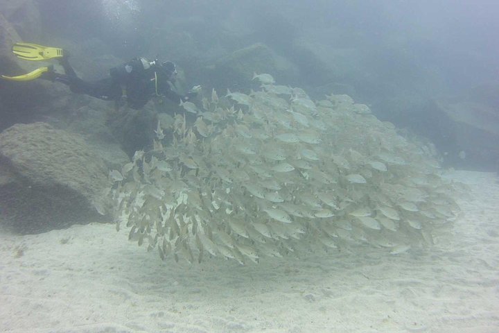Scuba Diving Beginner's Session in Costa Adeje