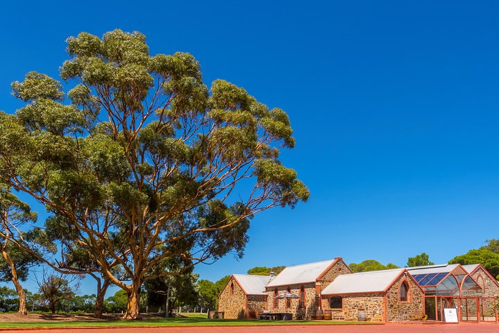 McLaren Vale Wine Tasting, Sights & Glenelg (half-day Afternoon)