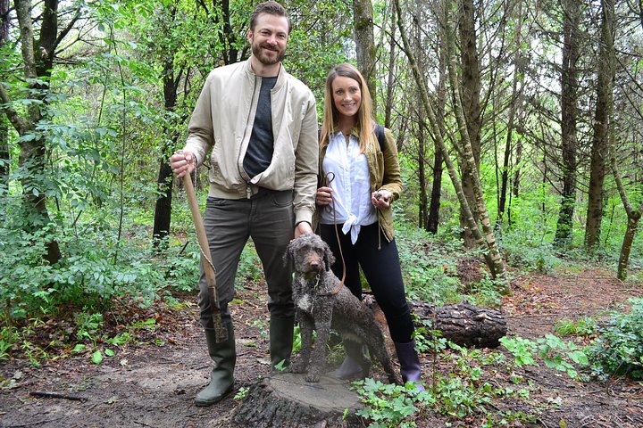 Truffle Hunting Experience with Lunch in San Miniato