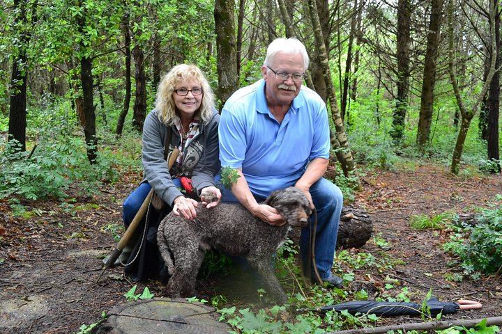 Truffle Hunting Experience with Lunch in San Miniato