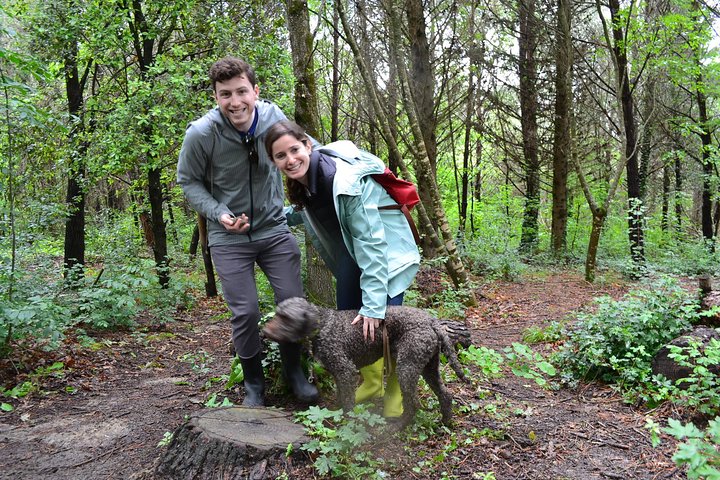Truffle Hunting Experience with Lunch in San Miniato