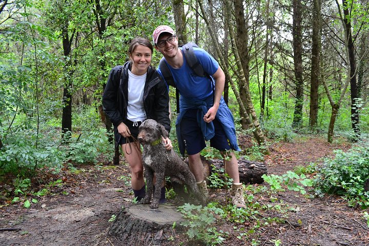 Truffle Hunting Experience with Lunch in San Miniato