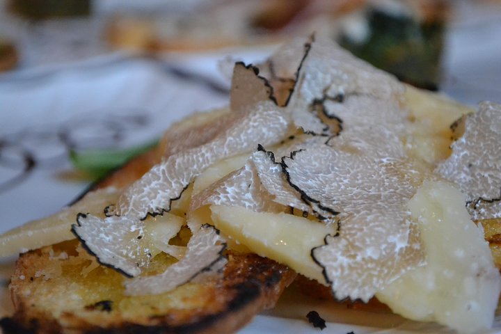 Truffle Hunting Experience with Lunch in San Miniato