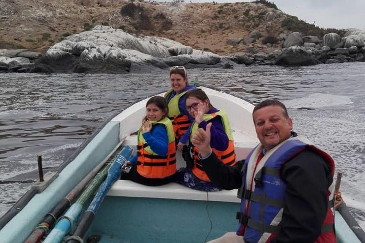 Private boat trip to see penguins from Valparaíso Cachagua Island