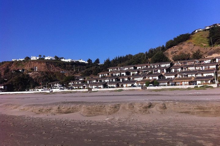 Private boat trip to see penguins from Valparaíso Cachagua Island