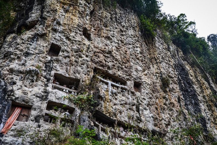 4 Days Toraja Cultural Tour from Makassar: Tongkonan Houses to Toraja Funerals