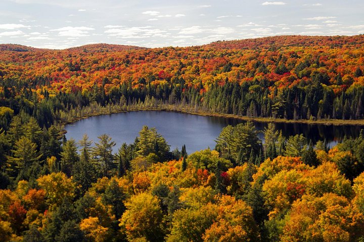 Toronto: Niagara Falls Sightseeing Tour + Boat, Journey & Lunch