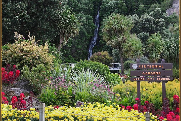 Shore excursion: Napier-Premium Wineries & Sights /Art deco tour
