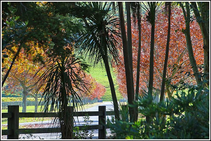Premium 4 -Best Wineries Napier Hawke's Bay Tour, 5.5h - 6Hours