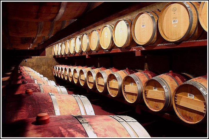 Small Group - Half-Day Hawke's Bay Winery Tour