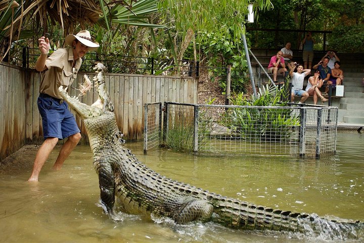 Hartley’s Crocodile Adventures Half-Day Tour from Cairns