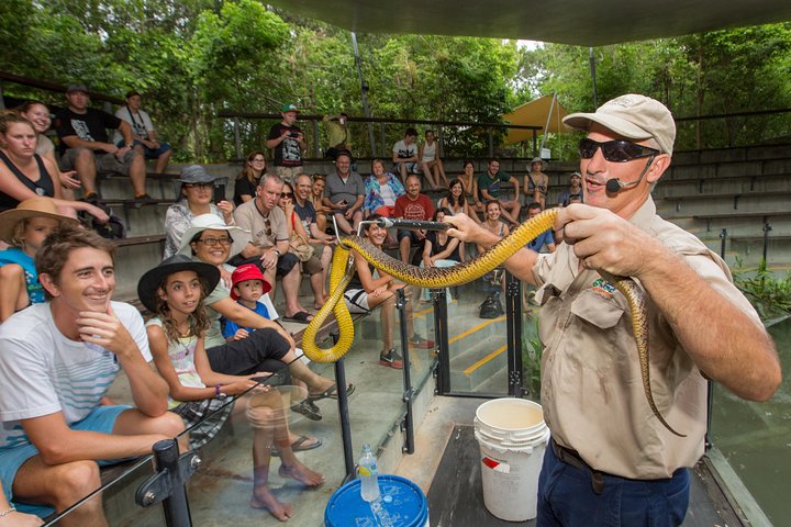 Hartley’s Crocodile Adventures Half-Day Tour from Cairns