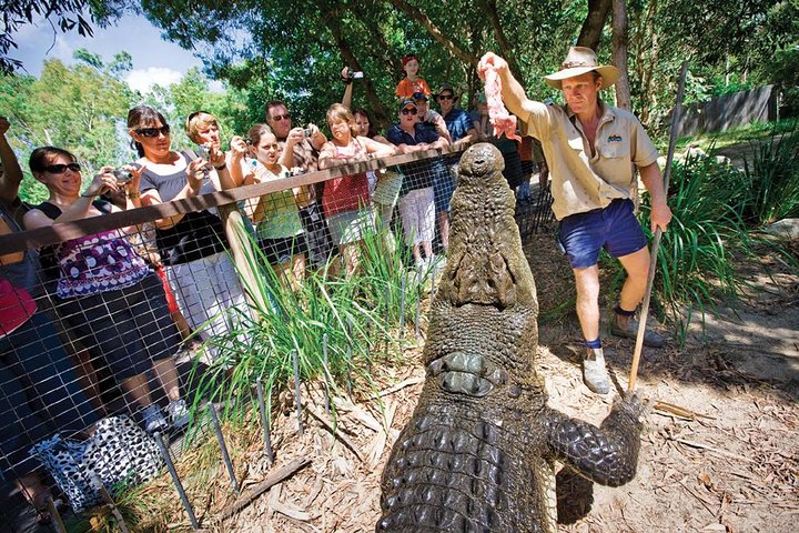 Hartley’s Crocodile Adventures Half-Day Tour from Cairns