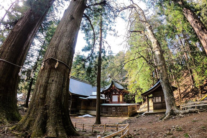 Mt Fuji Area Private Guided Tours in English-Nature up close, quiet, personal