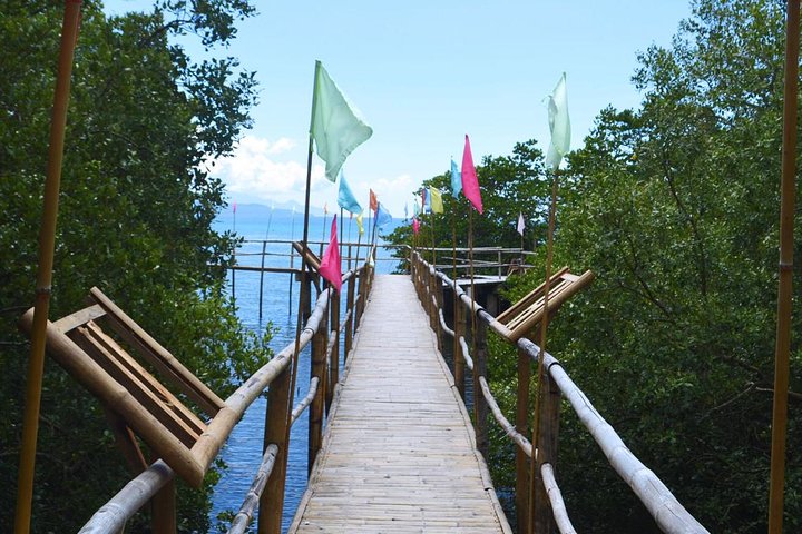 Puerto Galera Snorkeling Activities