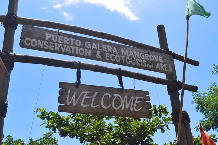 Puerto Galera Snorkeling Activities