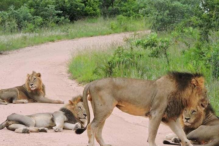 Journeys and accommodation