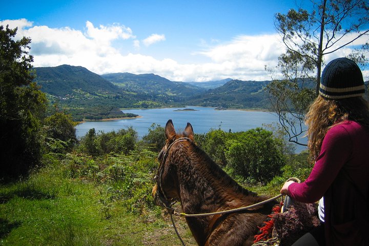 Andes Mountains Horseback Riding - Half Day