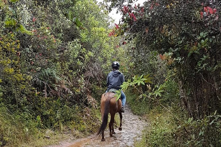 Andes Mountains Horseback Riding - Half Day