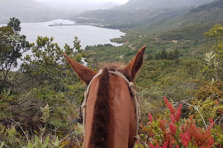 Andes Mountains Horseback Riding - Half Day