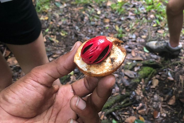 Explore Mare Aux Cochons Trail