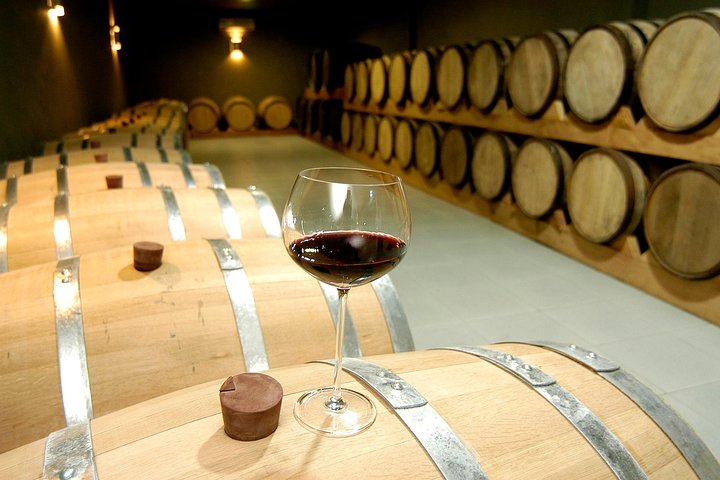 Private Tour of Luiz Argenta and 2 other Flores Cunha wineries