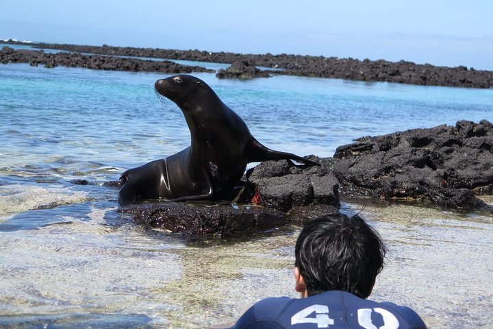 Day tour to Pinzón Island and La Fé/Palmitas Bay with snorkeling and fishing