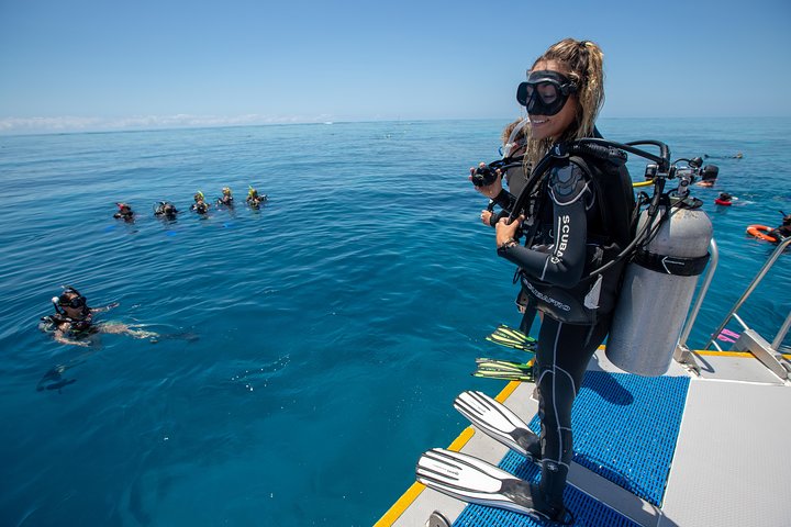Great Barrier Reef Snorkeling and Diving Cruise from Cairns